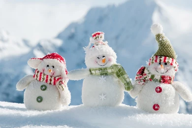 Cute Snowman Ideas