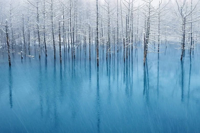 15 Beautiful New Wallpapers From OS X Mountain Lion