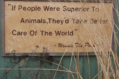 Thought Provoking Quotes. QuotesGram