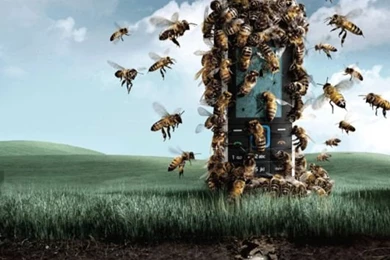 Very Creative Graphical Ads