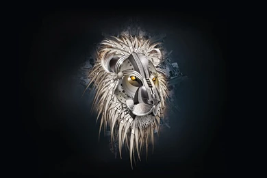 Lion Wallpaper, Mountain Lion Wallpapers