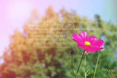 Free Christian WallpapersBelievers4ever.com