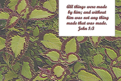 Gospel Photography   Free Scripture Wallpapers