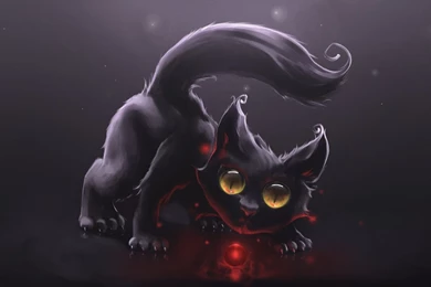 Cute Black Cat Playing With A Red Orb Wallpapers   Artistic ...