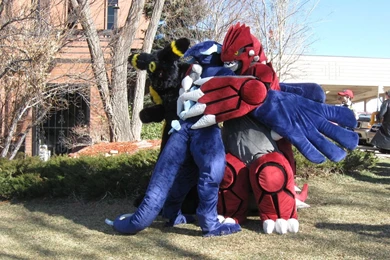 My Cosplay Groups Favourites By CanineHybrid On DeviantArt