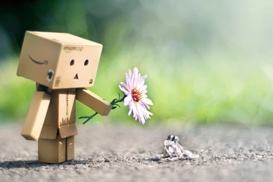 Amazon Robot Danbo Cute Wallpapers HD Free Download