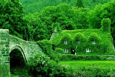 Top 31 Most Beautiful House Wallpapers In HD