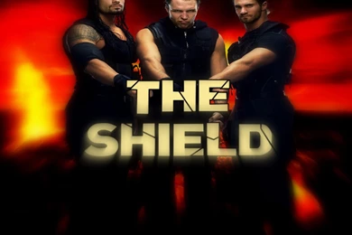 The Shield Wallpapers 2013 HD   WWE Photo (34627604)   Fanpop