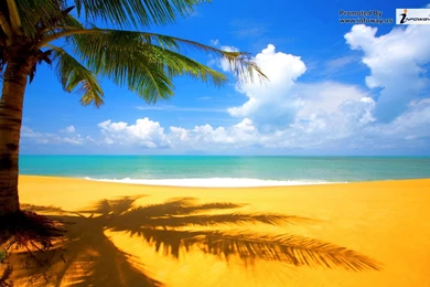 Beautiful Landscape Scenery   Photo 231 Of 395