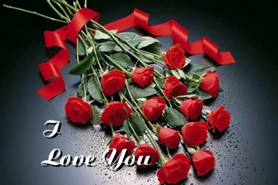 Download I Love You Wallpapers Photo
