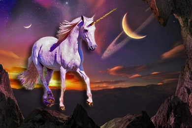 Unicorn   Unicorns Wallpapers (22728292)   Fanpop