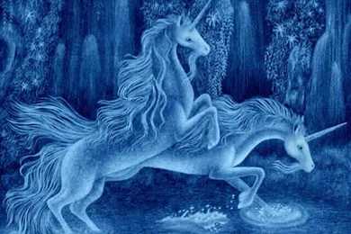 Unicorns Wallpapers   (