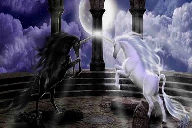 Wallpapers Magical Animals Unicorns Fantasy Image