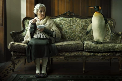 The Old Woman And Penguin Wallpapers And Images   Wallpapers ...
