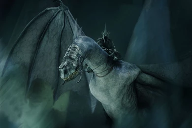 The Lord Of The Rings The Witch King Nazgul Wallpapers   (