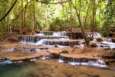 Waterfalls Forests Trees Nature Wallpapers And Photos 376671 ...