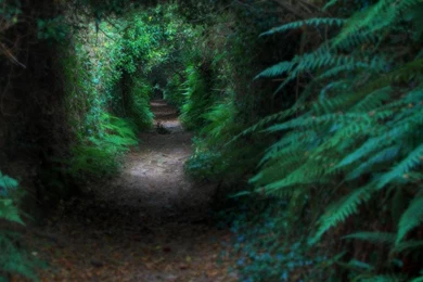 BRING ON THE NAZGUL WALLPAPER   (