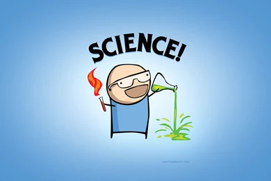 Funny Cute Wallpapers Mobile