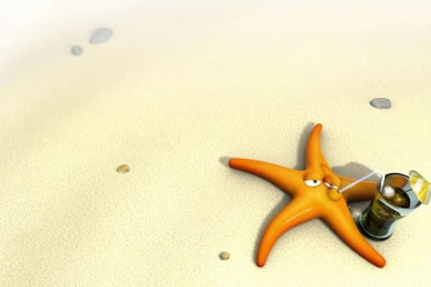 Funny Cute Wallpapers HD 1920x1080