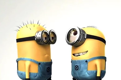 Funny Cute Pictures 6 Funny And Amazing Wallpapers