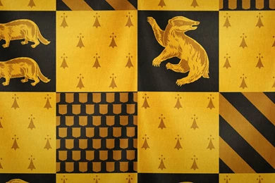 Harry Potter Computer Wallpapers, Desktop Backgrounds