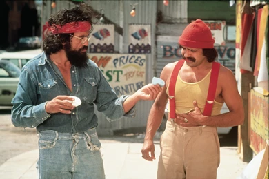 CHEECH AND CHONG UP IN SMOKE Comedy Humor Marijuana Weed 420 F ...