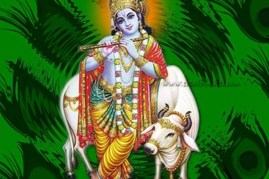 Wallpapers Lord Amman Krishna Wall .2 1280x1024