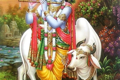 Best Krishna Janmashtami HD Images Wallpapers Photos Pictures