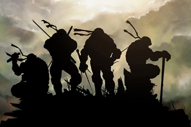 Teenage Mutant Ninja Turtles (TMNT) Full HD Wallpapers Image For ...