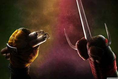 Teenage Mutant Ninja Turtles 2014 HD Desktop Wallpapers ...
