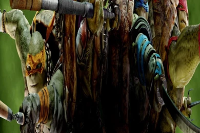 Teenage Mutant Ninja Turtles Of