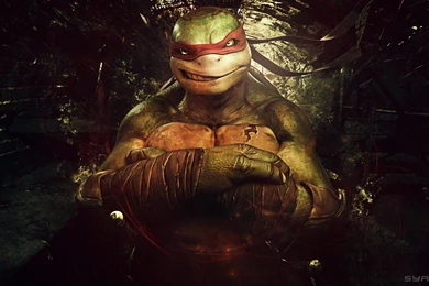 2 Teenage Mutant Ninja Turtles: Out Of The Shadows HD Wallpapers ...