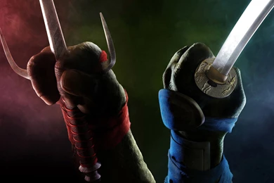 Teenage Mutant Ninja Turtles   Raphael And Leonardo's Weapons ...