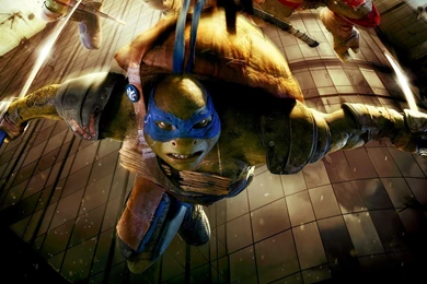 Teenage_mutant_ninja_turtles_0011.jpg