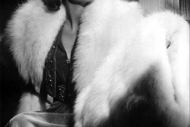 Lucille Ball Photo, Pics, Wallpapers   Photo