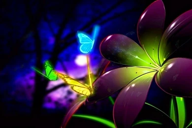 Animation Pictures Of Flowers   HD Wallpapers Pretty