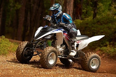 YAMAHA RAPTOR Atv Quad Offroad Motorbike Bike Dirtbike W Free ...