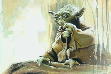 MASTER YODA WALLPAPER   (