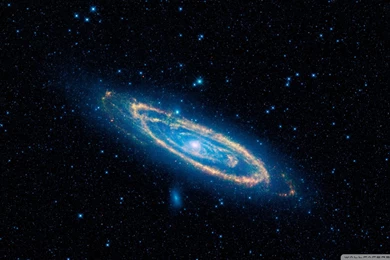 Blue Spiral Galaxy 49905   Earth Star   Others