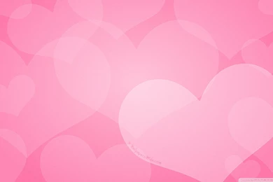 Happy Valentines Day Wallpapers 1920×1080
