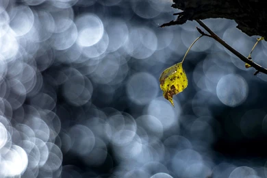 Wallpapers For Sony Xperia Z Tablet   Wallpapers Xperia Hd ...