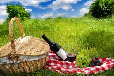 Lifestyle Wallpapers