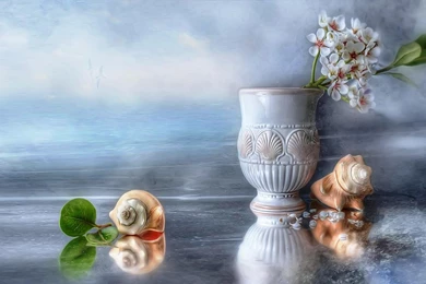 Free Life Style >> HD Wallpaper, Get It Now!