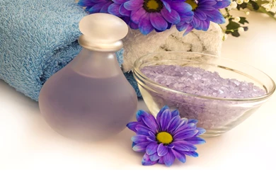 Lifestyle Free Collection Hd Wallpapers