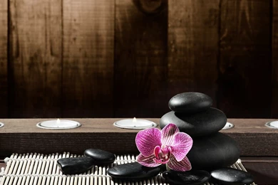 Lifestyle Wallpapers