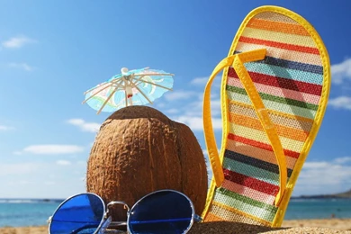 Lifestyle Wallpapers