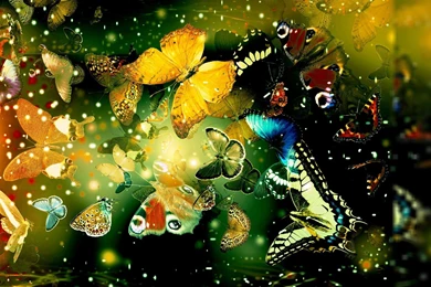 Cool Nature Wallpapers L7O   Savewallpaper.com