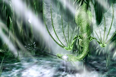 Free hd new hd wallpaper 3D.jpg