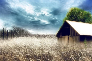 Most Beautiful Digital Desktop Wallpapers Free Download Rockstar ...