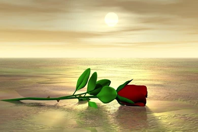 Moviebuff4_9's Profile On PrimeWire